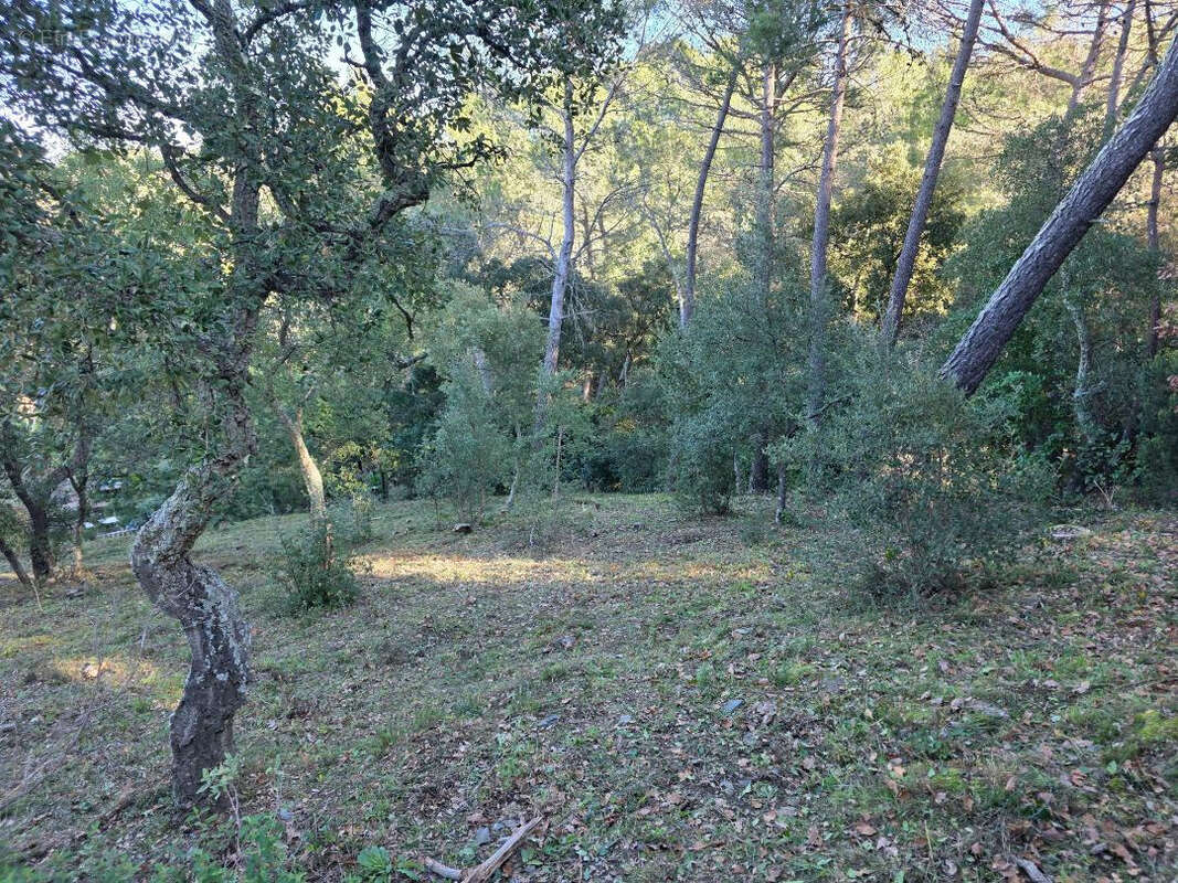Terrain à PIERREFEU-DU-VAR