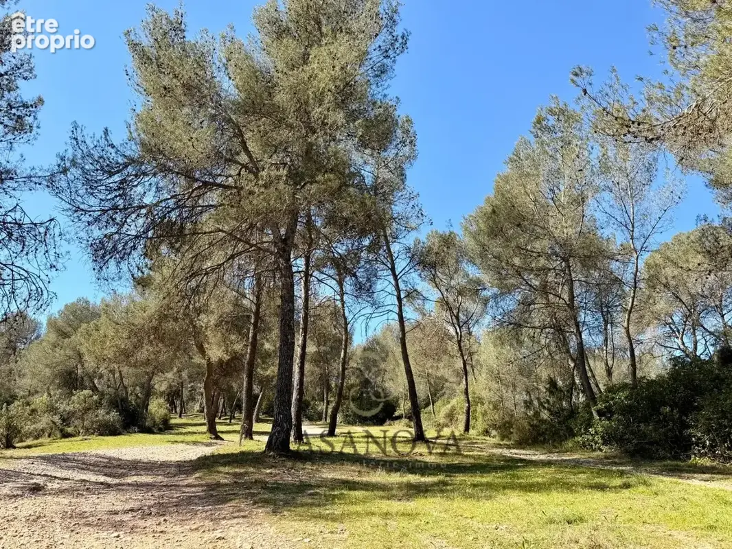 Terrain boisé non constructible à vendre Montferrier-sur-Lez  7 355 m² en zone naturelle protégée, cadre exceptionnel - photo 2