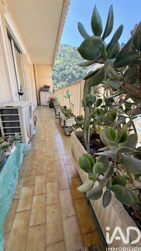 Photo 5 - Appartement à NICE