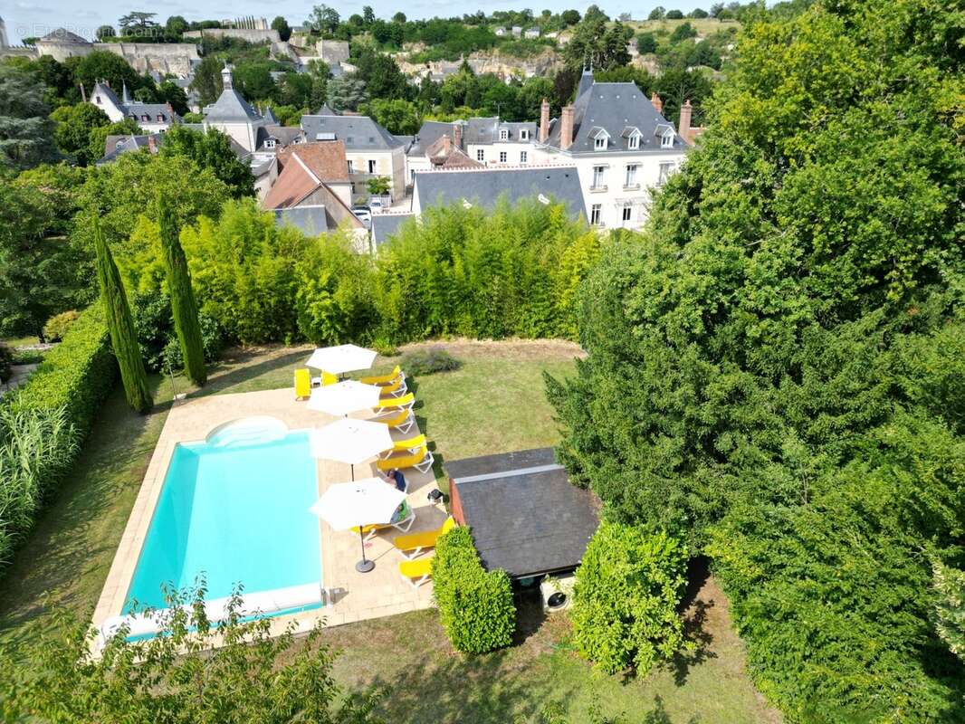 Propriete à vendre 32 pièces AMBOISE (37) - photo 6