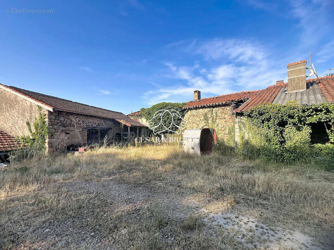 Maison 750 m² à Saint-Jean-Saint-Maurice-Sur-Loire  - photo 8