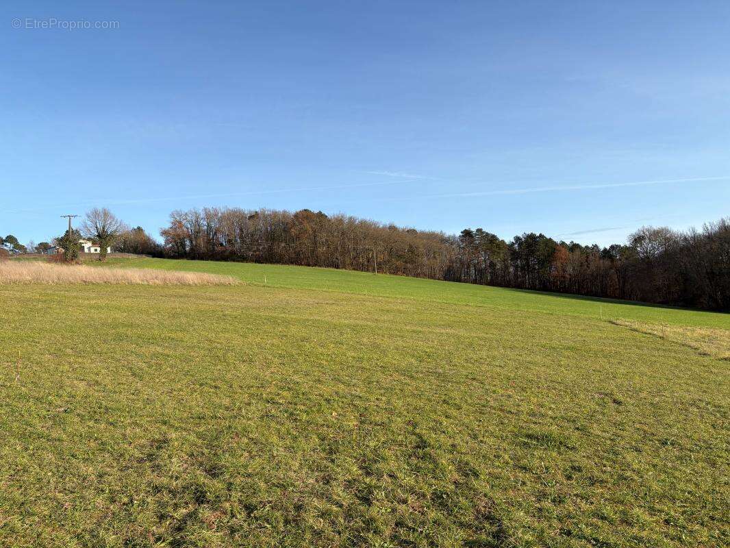 Terrain à NOTRE-DAME-DE-SANILHAC