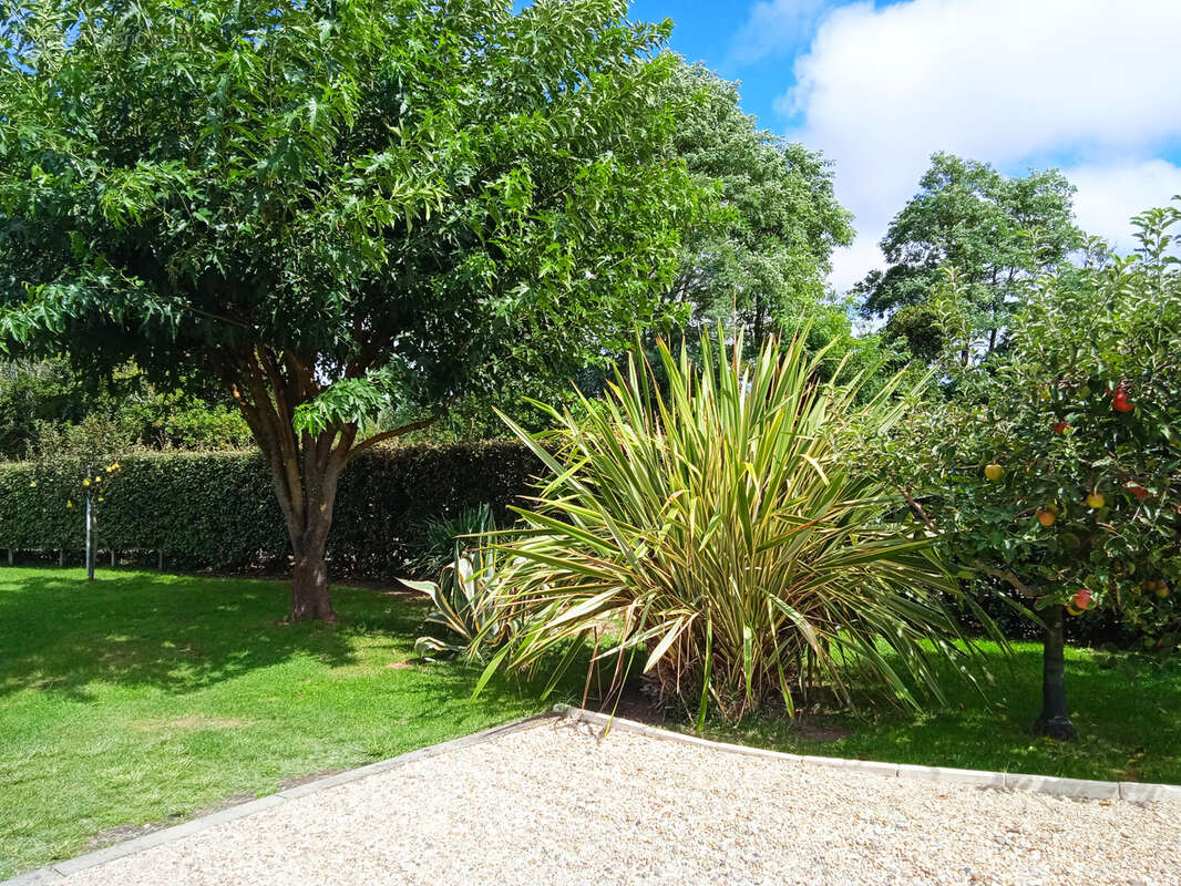 Maison à SOULAC-SUR-MER