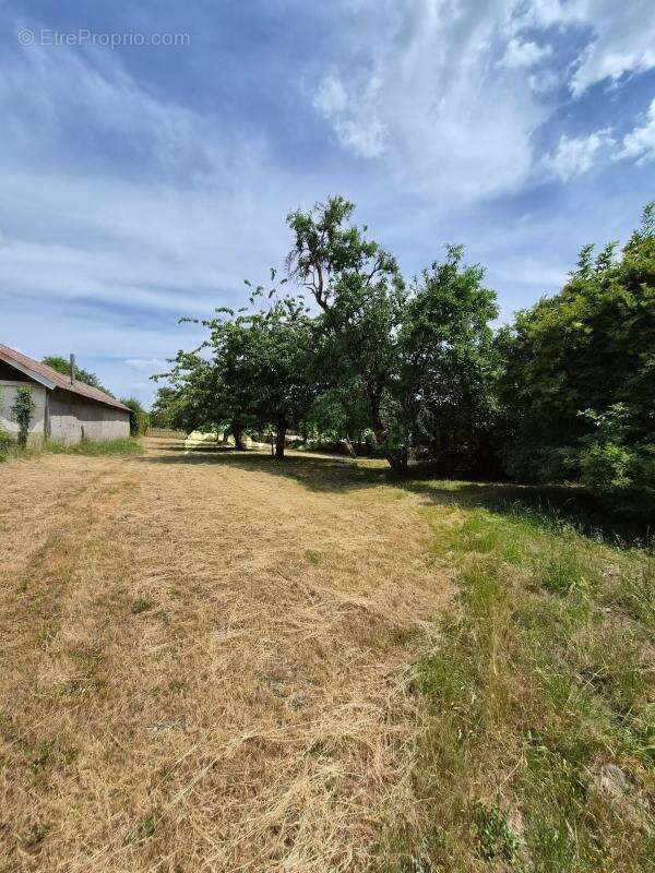 Maison de 95m² située à marcilly en bassigny - photo 17