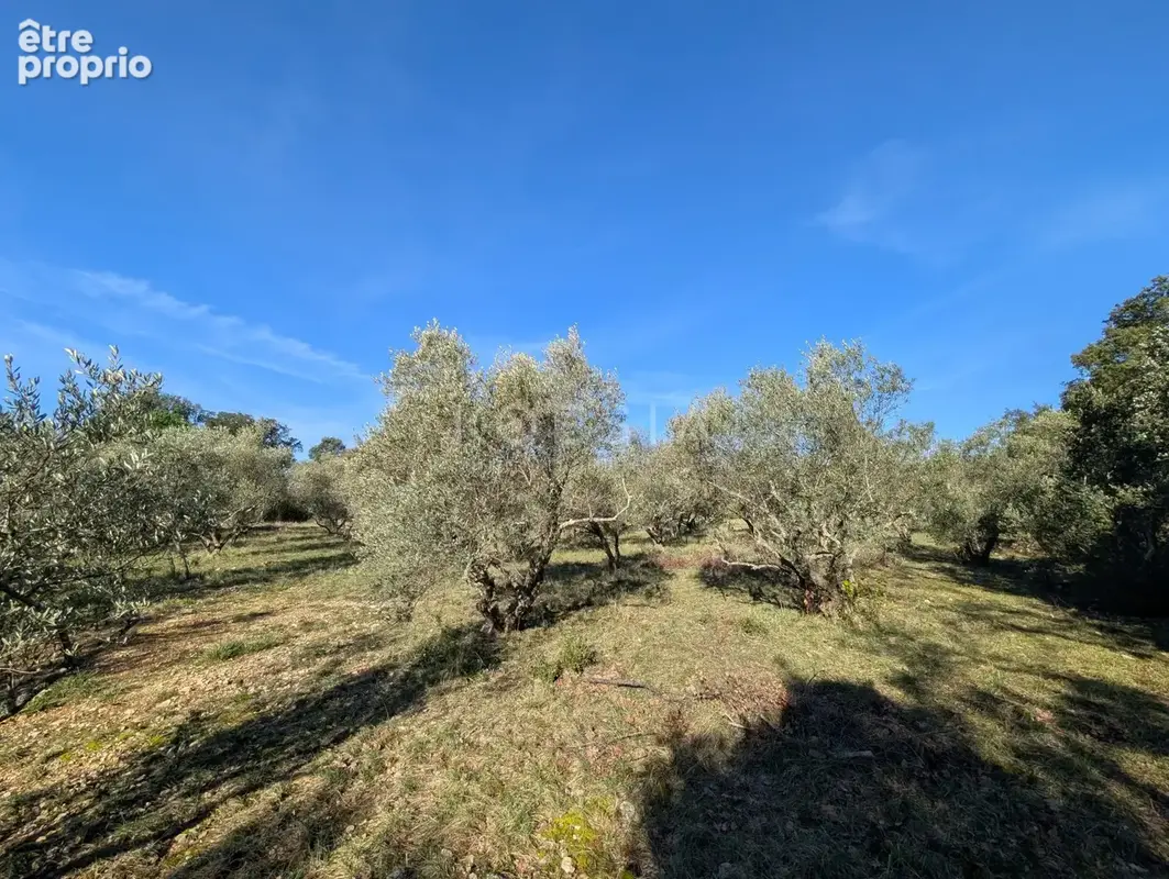 Terrain 2 000 m² à vendre à Sauve (30610) - photo 2