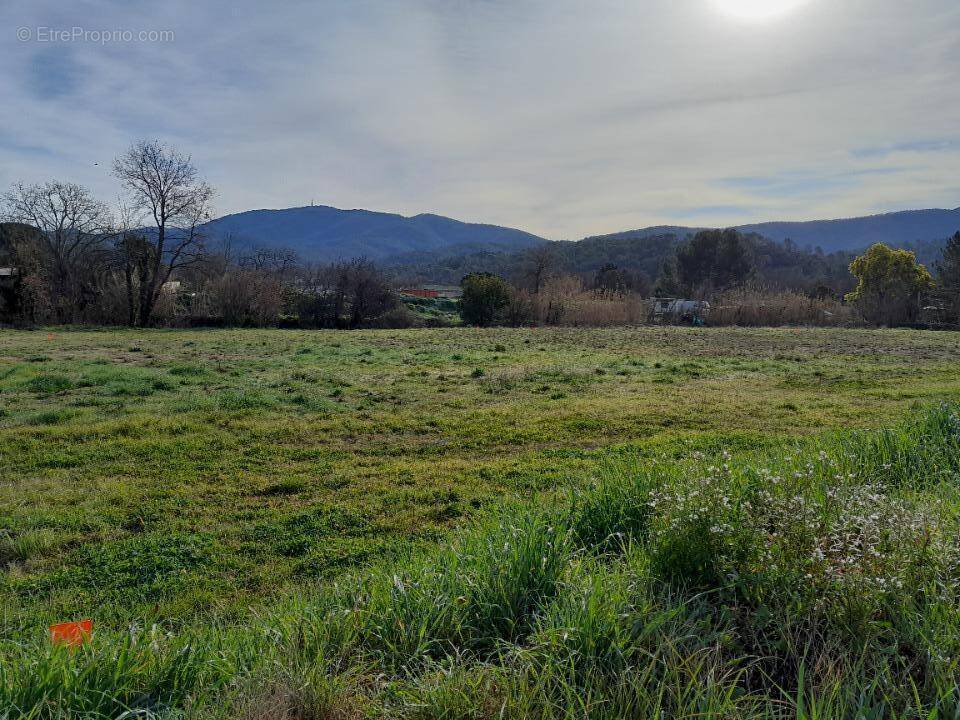Terrain à PIGNANS