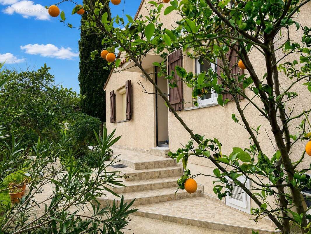 Maison 3 faces - Maison à ARGELES-SUR-MER