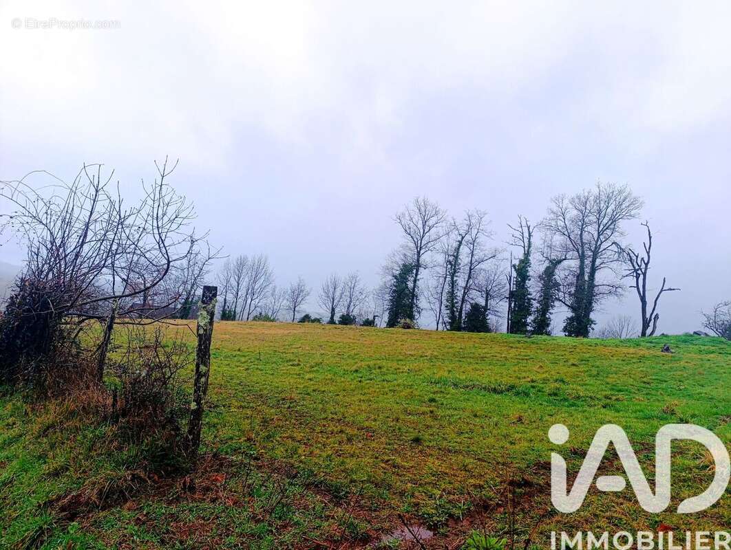 Photo 3 - Terrain à JUILLAC