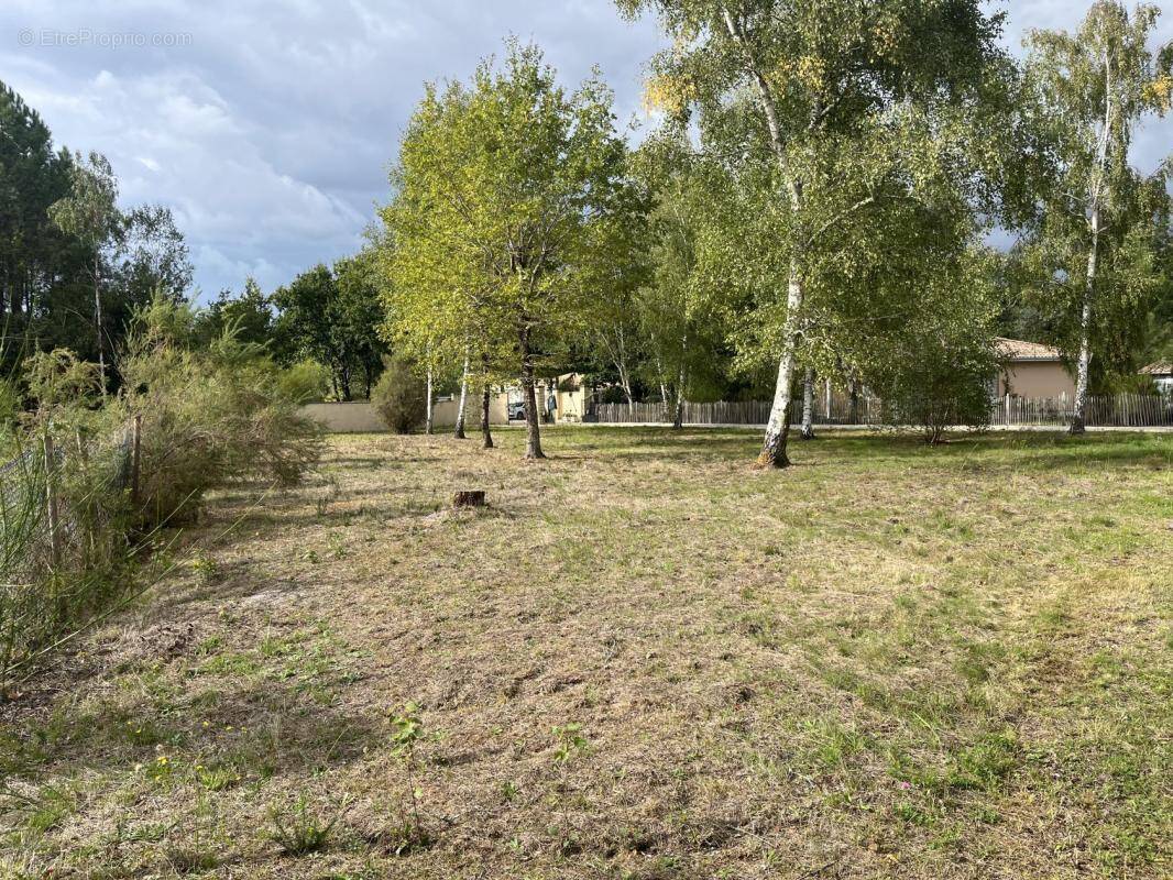 Terrain à VENSAC
