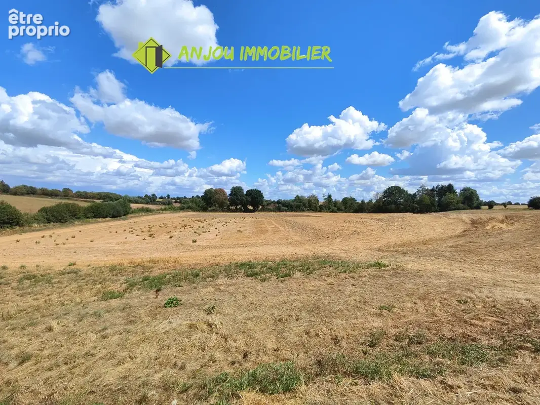 Maison de campagne avec dépendances et terrain - photo 16