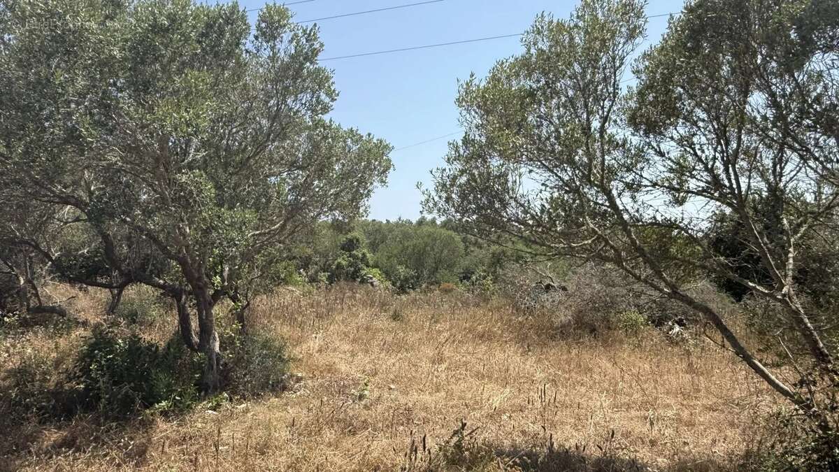 Terrain à BONIFACIO