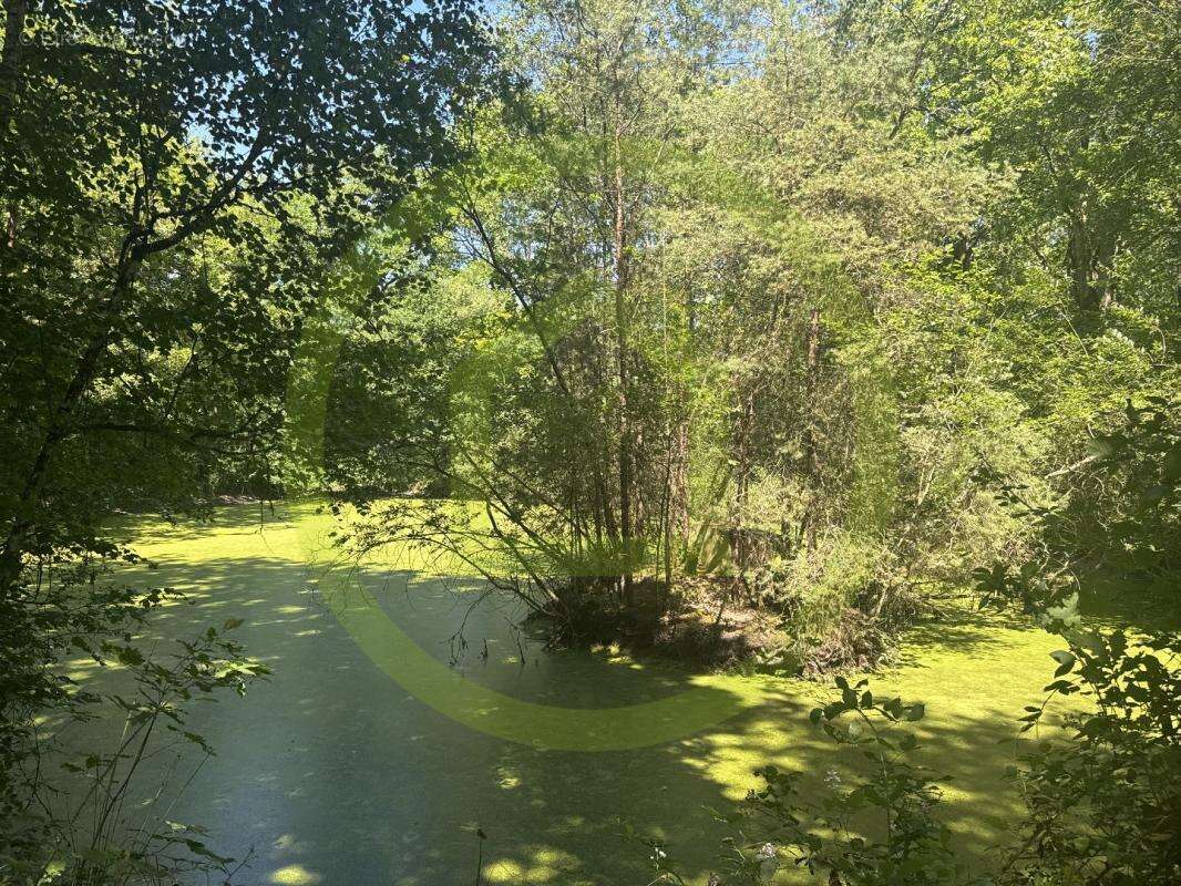 Maison à LA FERTE-SAINT-AUBIN
