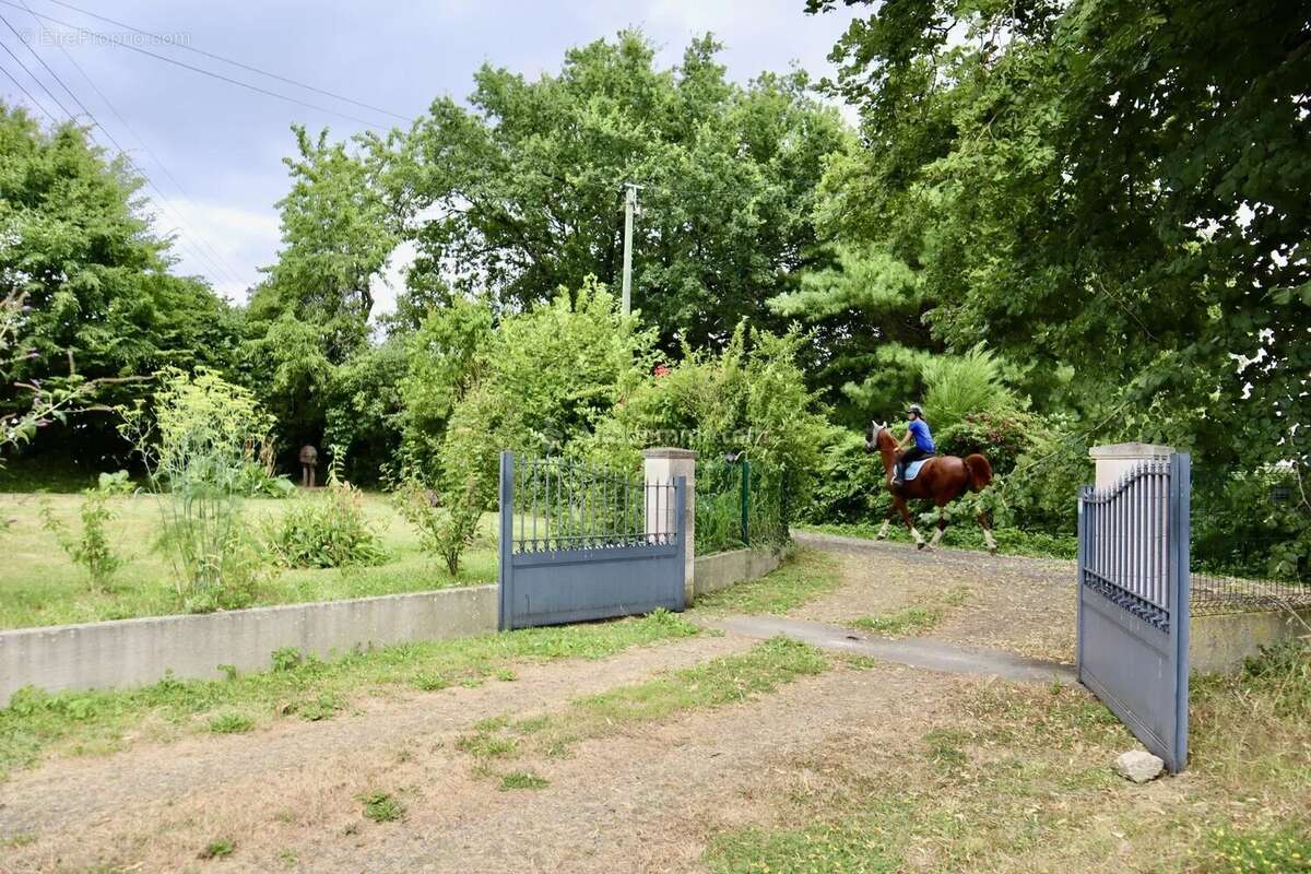 Belle fermette de 140 m2, entièrement restaurée sur plus d'un hectare de terrain. - photo 3