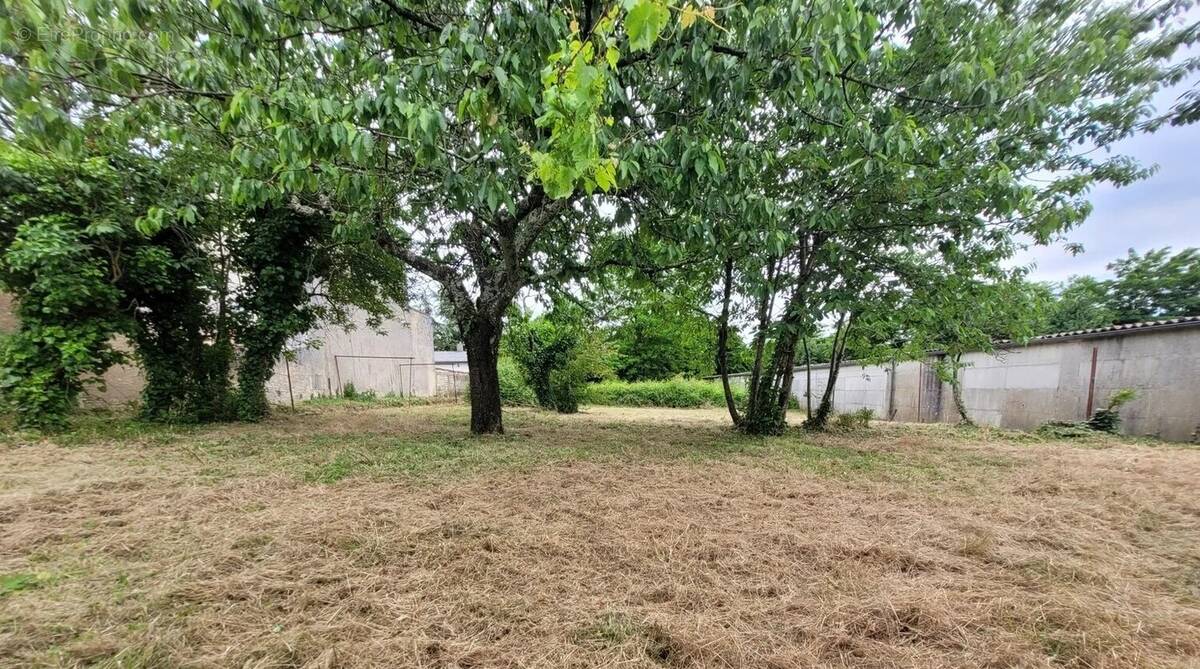 Terrain à COGNAC