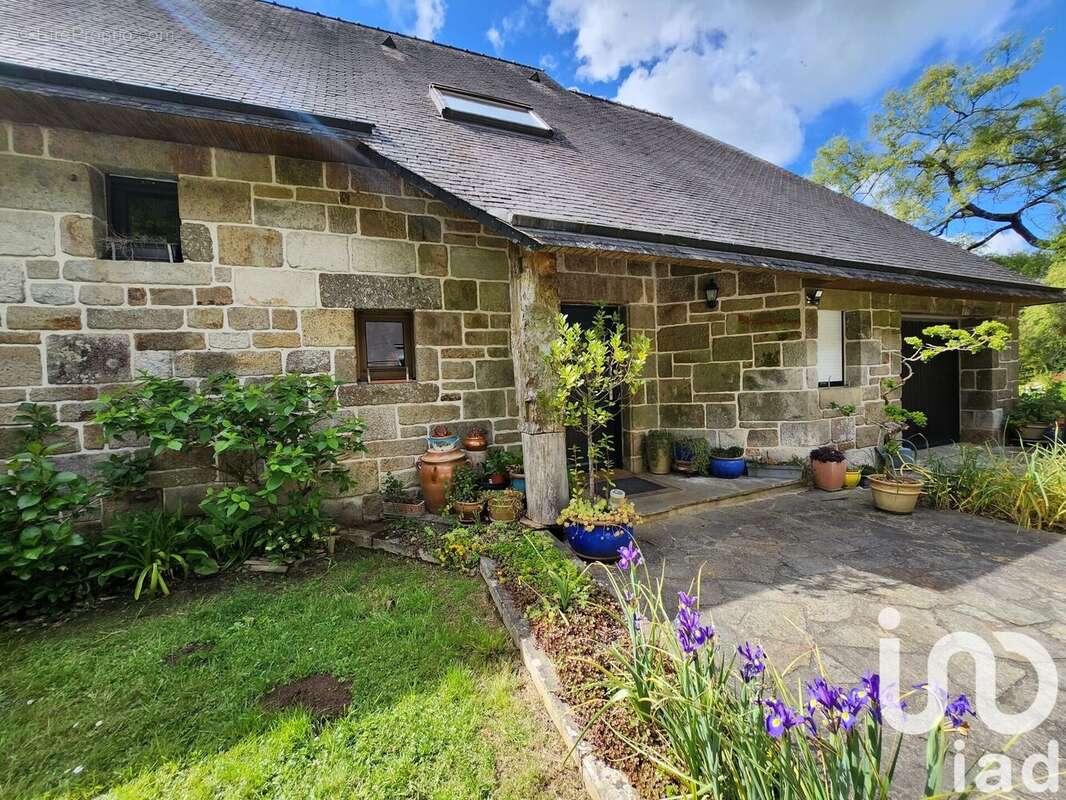 Photo 4 - Maison à ARZANO