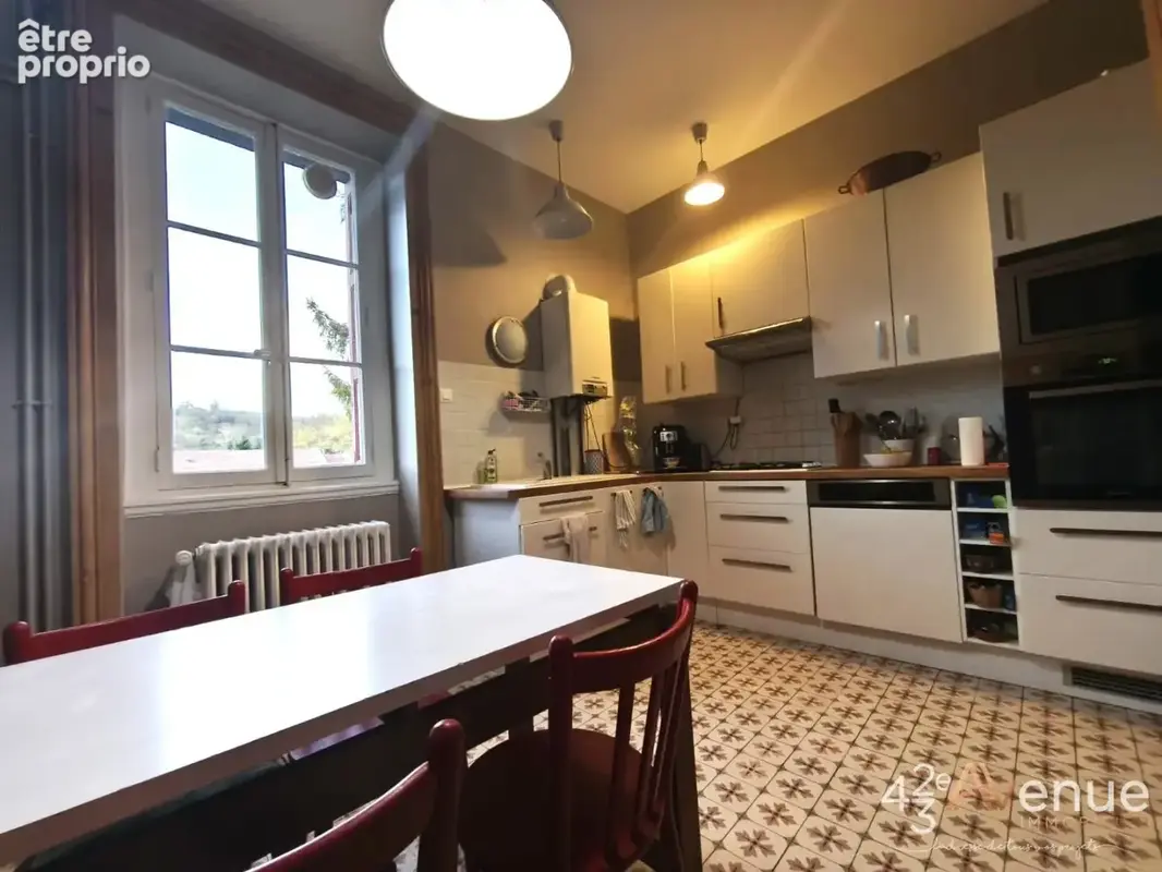 Appartement 7 pièces 146 m² à vendre à Le Chambon-Feugerolles (42500) - photo 6