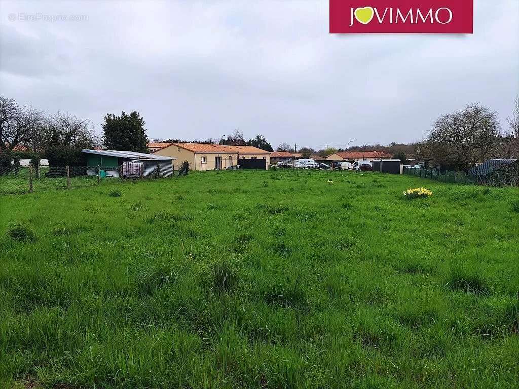 Terrain à CHAMPAGNE-SAINT-HILAIRE