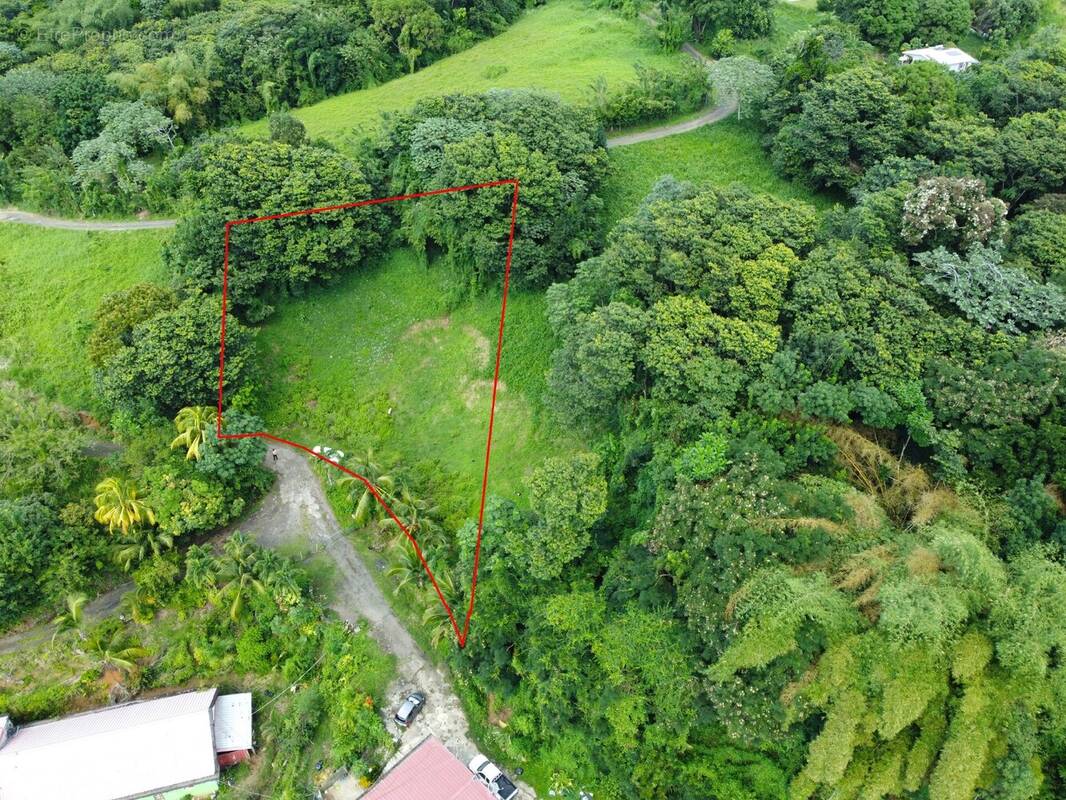 Terrain à RIVIERE-SALEE