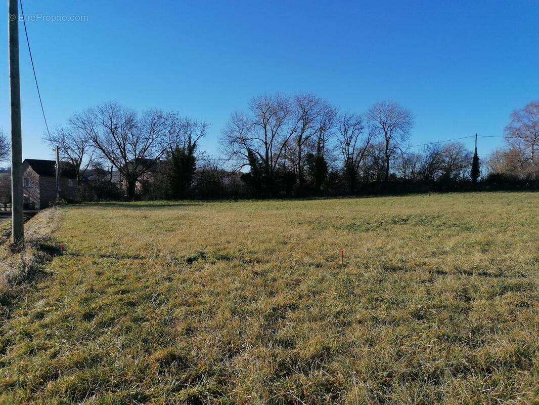 Terrain à BARAQUEVILLE