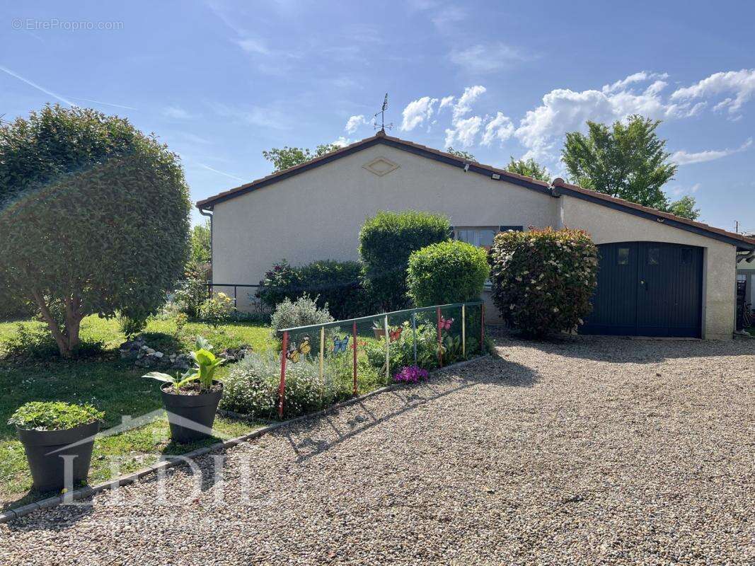 Plain-pied - jardin arboré - garage - photo 2