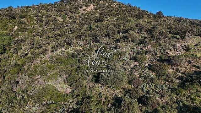 Terrain à BORMES-LES-MIMOSAS