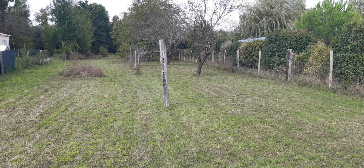 Terrain à SAINT-CHRISTOPHE