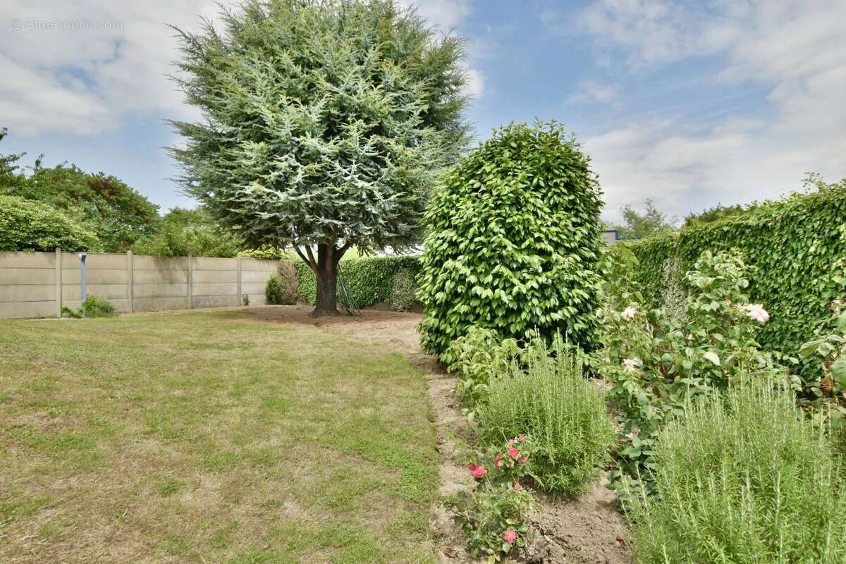 Maison à LE MAY-SUR-EVRE