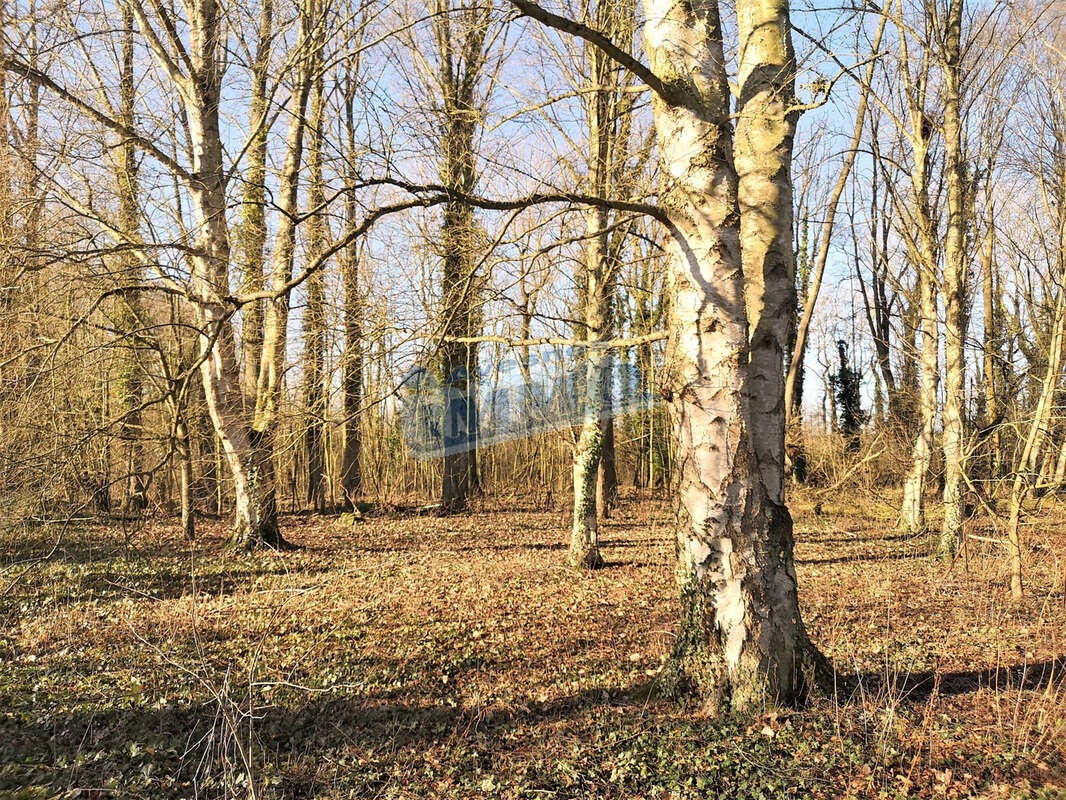 Terrain de loisirs et de détente,  Aubigny-en-Artois - photo 2