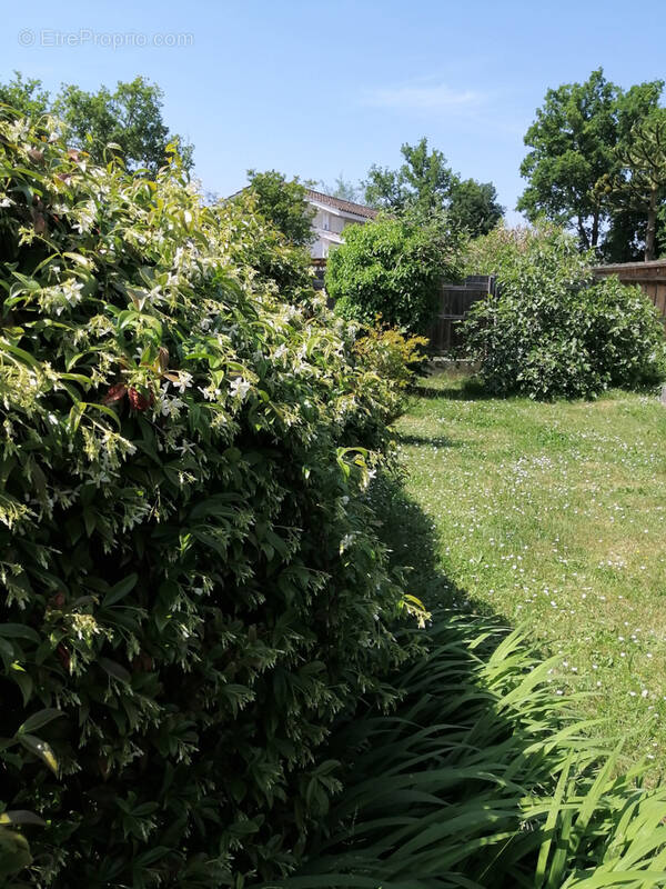 Maison à ANDERNOS-LES-BAINS