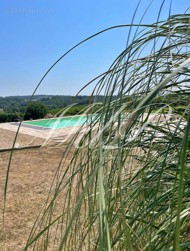 Longère avec vue fantastique  (33) - photo 5