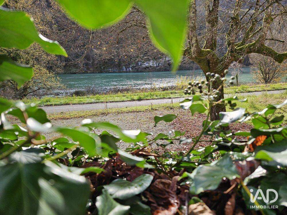 Photo 2 - Commerce à MASSIGNIEU-DE-RIVES