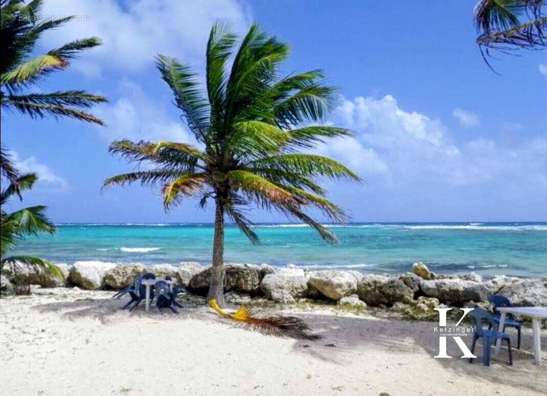 Maison à CAPESTERRE-DE-MARIE-GALANTE