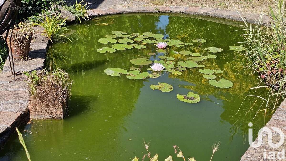 Photo 7 - Maison à SAINT-JEANNET