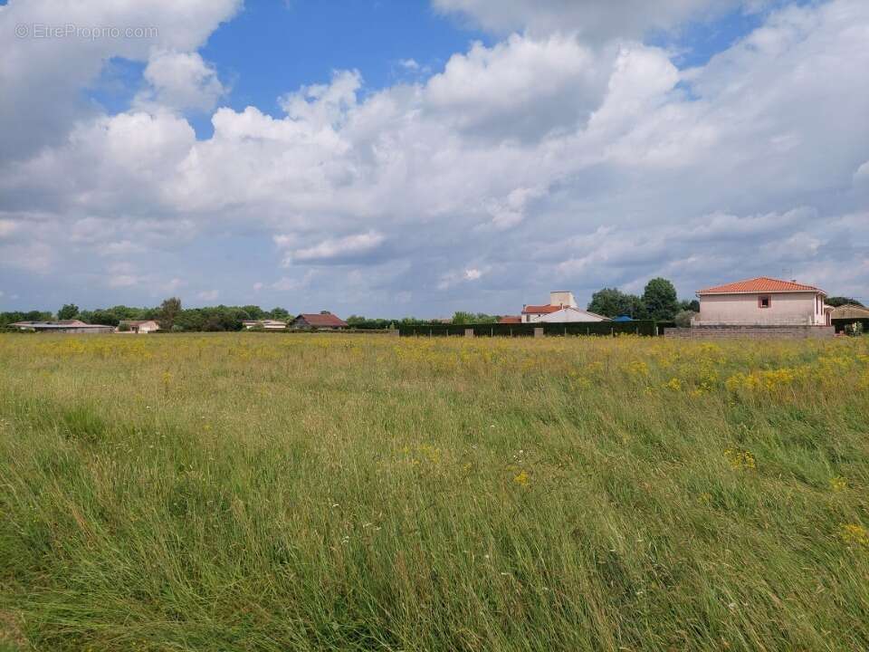 Terrain 635 m² à Montauban  - photo 4