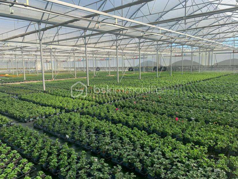 Proche Nogaro - Propriété Horticole de 3ha avec habitation - photo 3