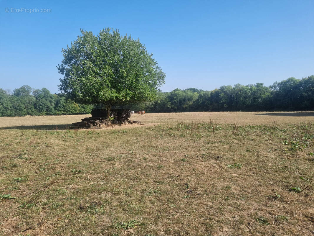 Maison à SAINT-AQUILIN-DE-CORBION