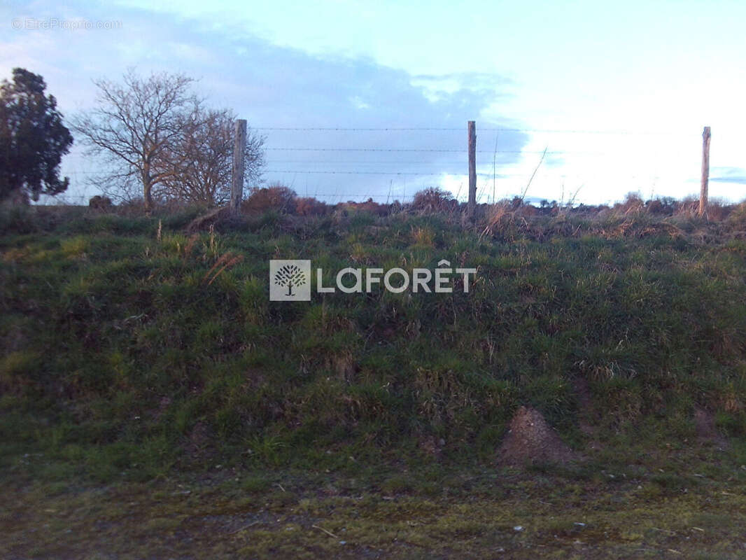 Terrain constructible de 1000 m2 - photo 2