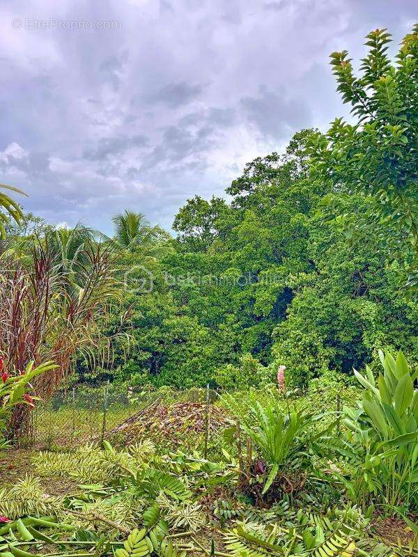 Maison à PETIT-BOURG
