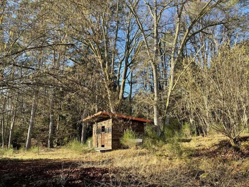 Terrain à NIEDERBRONN-LES-BAINS