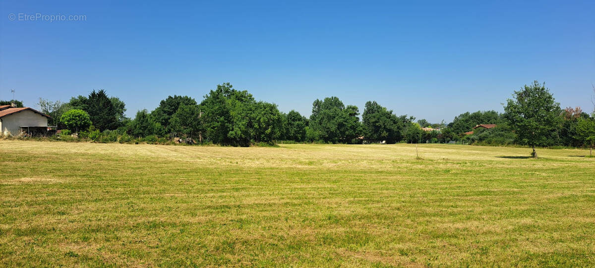 Terrain à CAUSSADE
