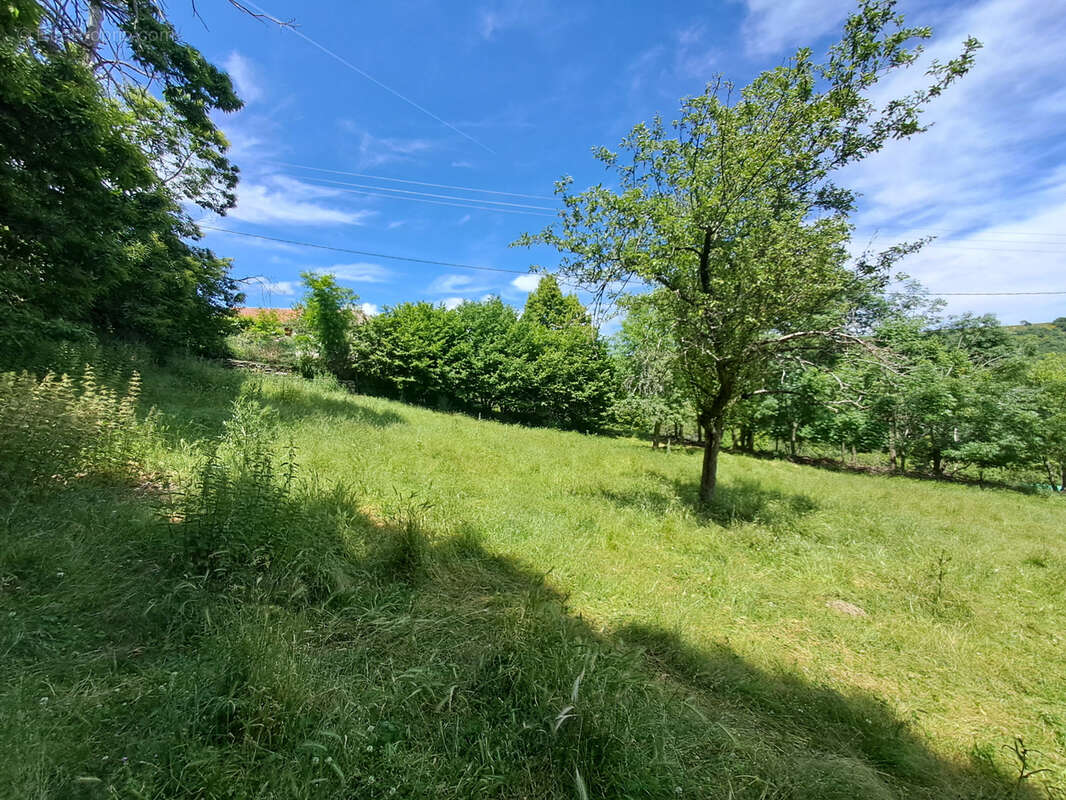 Terrain à POURCHARESSES