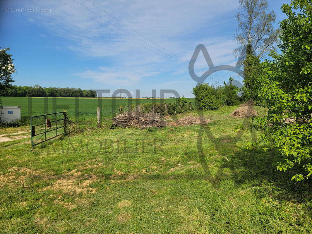 Terrain Mortcerf 683 m2 - photo 2