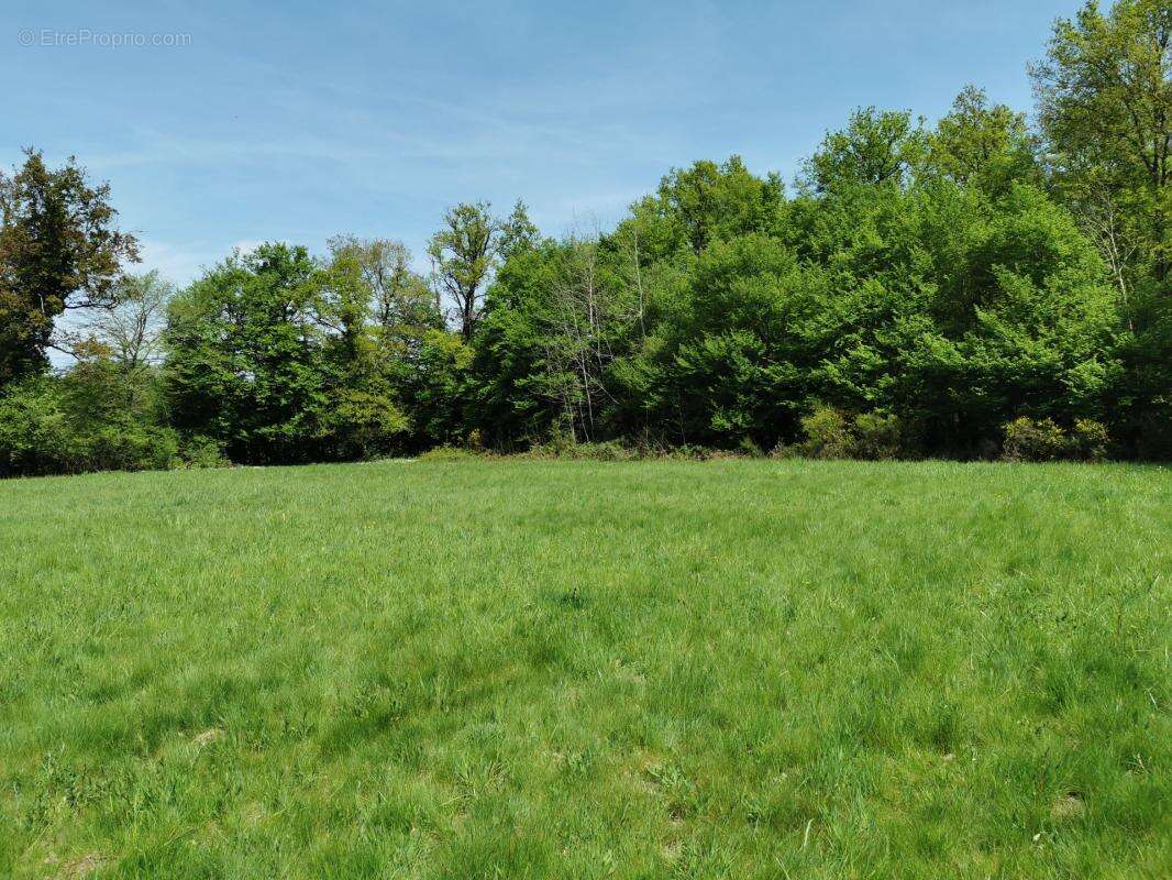 Terrain plat 4148m² - calme - environnement campagne - photo 6