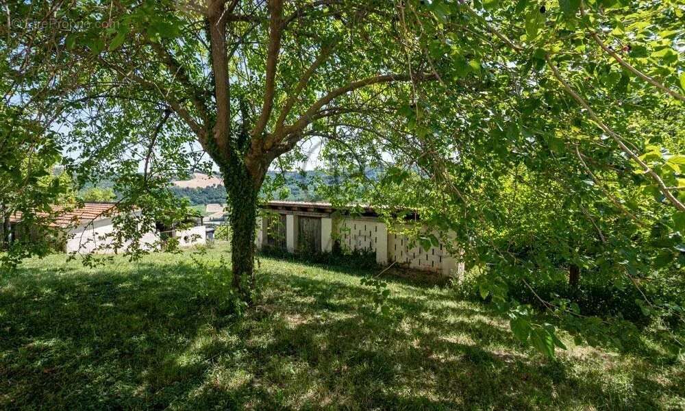 Ferme avec appartements, laboratoire de transformation et boutique à la ferme — Le Marche - photo 22