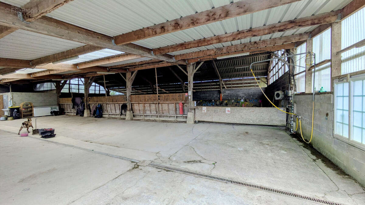 MAISON et gîtes su - GITES - Installations EQUESTRES - photo 11