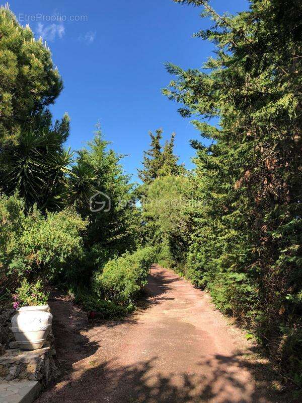 Magnifique Villa vue mer - photo 10