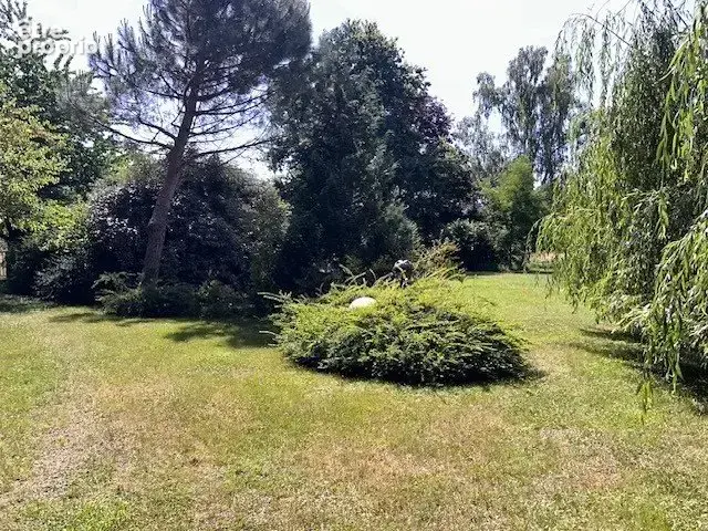 Maison d'architecte 4ch, piscine, accès Saône, parc 1,1 ha - photo 15