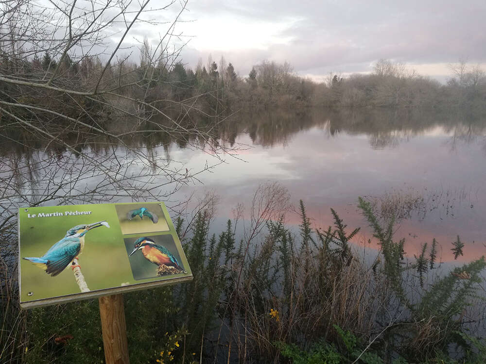 Vente d'un domaine professionnel à fort potentiel sur la commune de Missillac - photo 10