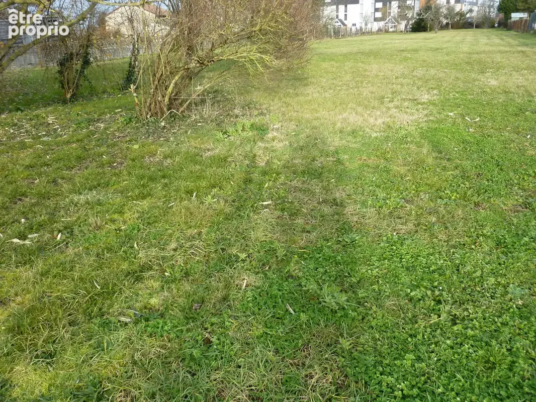 Terrain à MONTMORILLON
