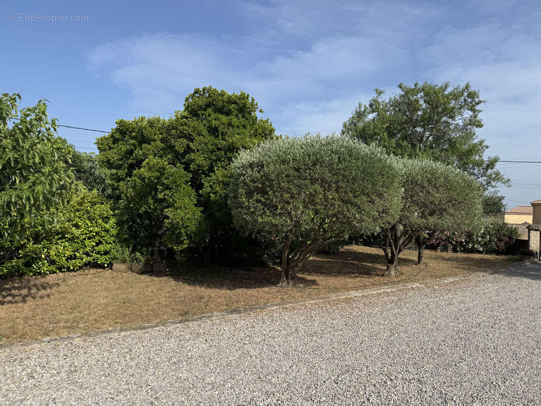 Maison à SAINT-ANDRE-DE-SANGONIS